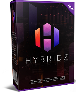 Hybridz Influencer Marketing system