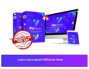 VidVoicer Chrismas Special Deal